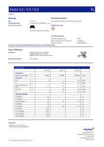 https://specialtygases.messergroup.com/documents/126306/88905751/Azote+5.0+%26+5.5+%26+6.0_BE_FR.pdf/aba37374-b893-24a5-e114-b4084ec5dc11?version=1.1&t=1768383358507&documentThumbnail=1